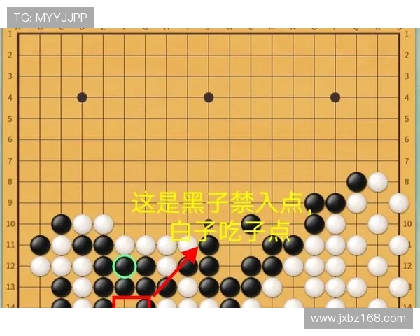 南京网球队创新盯防战术解析与实践探索的深度研究