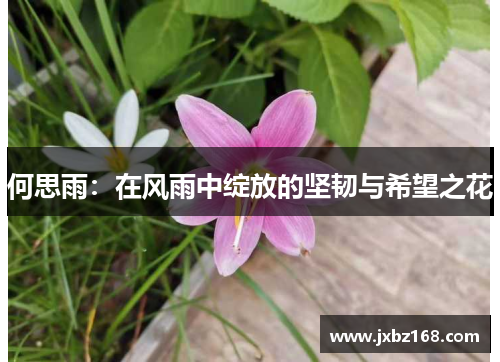 何思雨：在风雨中绽放的坚韧与希望之花